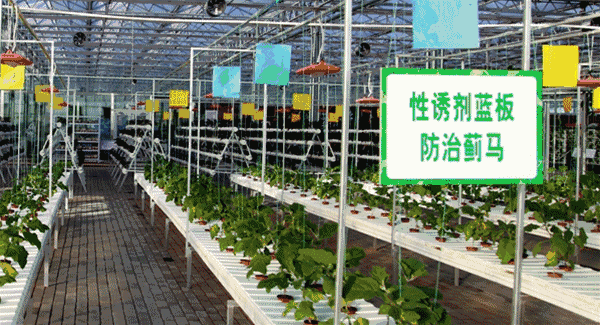 20180424/27d5c33f2e6a1a66eed9fb0ccbd7f44c.gif 27d5c33f2e6a1a66eed9fb0ccbd7f44c.gif