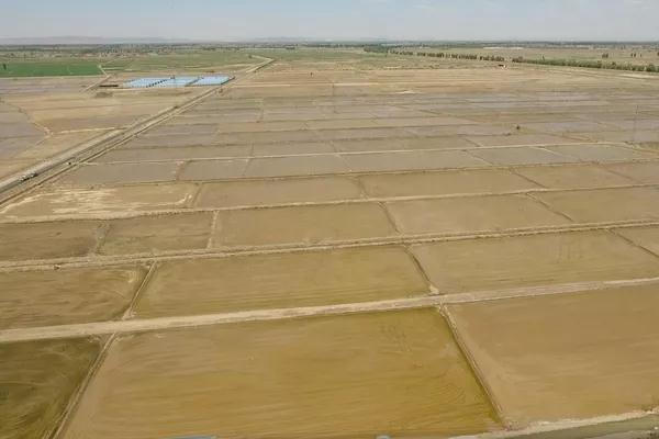 20180717/79eca2f8a82ac24038265db50e387328.jpg 79eca2f8a82ac24038265db50e387328.jpg