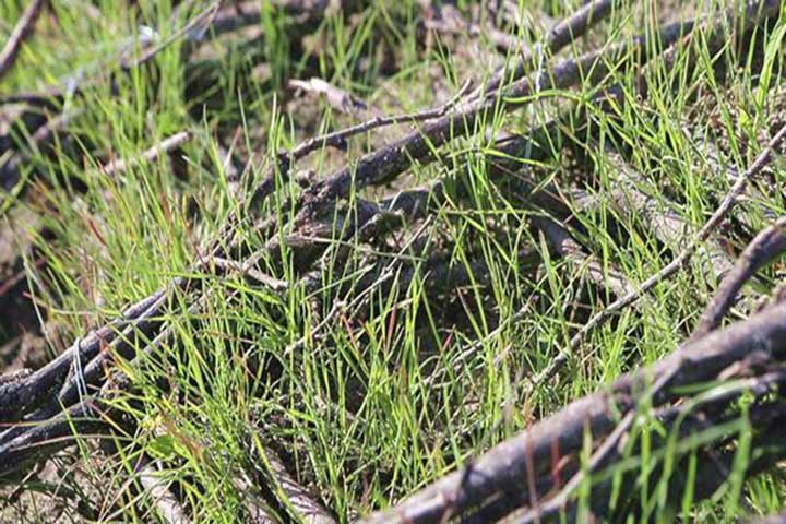 20180906/13e24f7b78f67039fa74ada6e9328a25.jpg 13e24f7b78f67039fa74ada6e9328a25.jpg