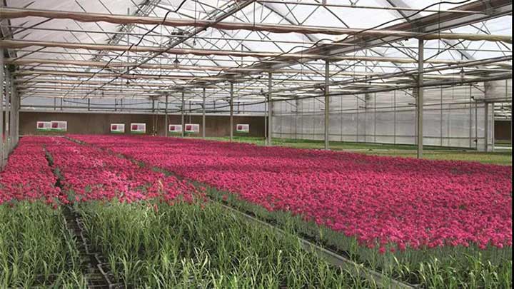 20180929/e135c793a6164c965e29a00f959d8079.jpg e135c793a6164c965e29a00f959d8079.jpg