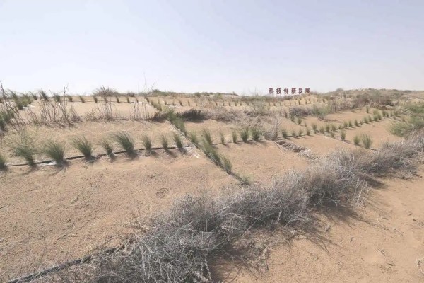 20230612/784bded375413850d8e8151961423382.jpg 784bded375413850d8e8151961423382.jpg