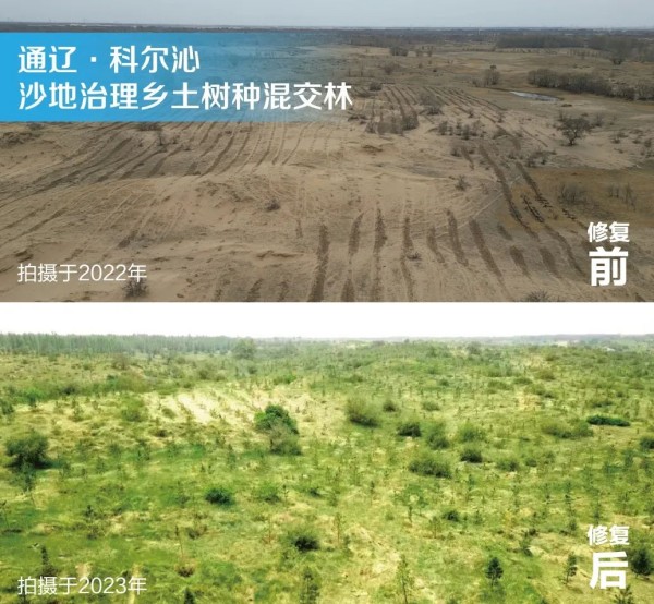 20230612/bbd2e0182578491187ee5cb4c925f655.jpg bbd2e0182578491187ee5cb4c925f655.jpg